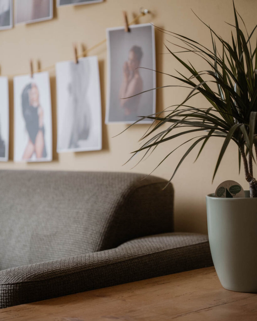 Gemütliche Studioecke mit Sofa, Pflanze und hängenden Fotoabzügen
